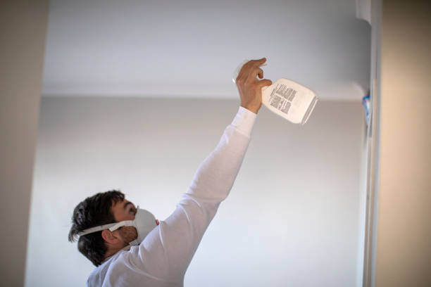 Best Commercial Mold Removal  in Delphi, IN