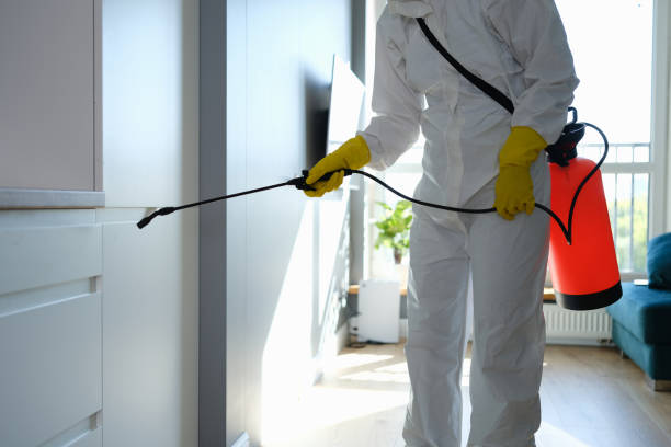 Best Crawl Space Mold Removal  in Delphi, IN