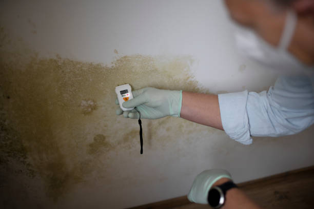 Mold Testing and Removal in Delphi, IN