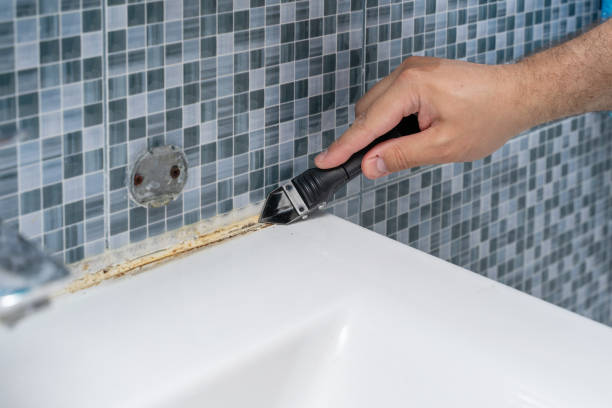 Mold Removal and Inspection in Delphi, IN