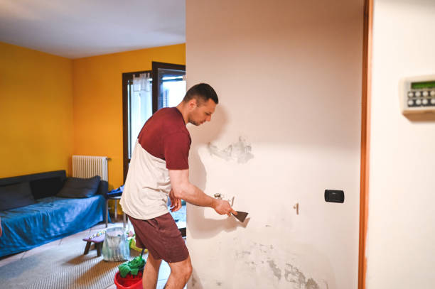 Best Residential Mold Removal  in Delphi, IN